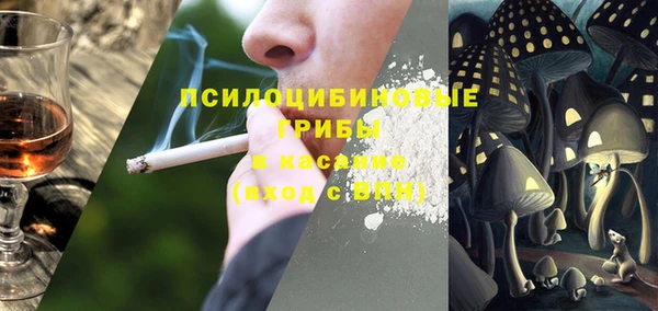 герыч Пересвет