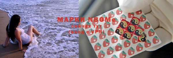 шишки Переславль-Залесский