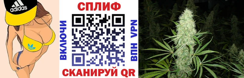 Бошки марихуана сатива  MEGA ССЫЛКА  Куровское 